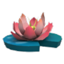 Pink Lotus